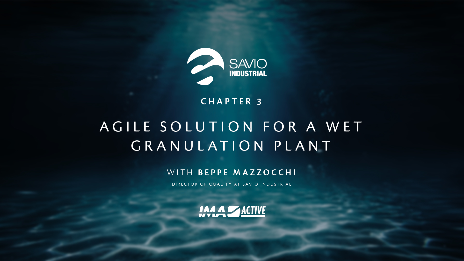 Chapter 3 | Agile solution for a wet granulation plant
